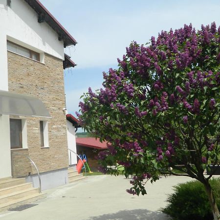 Mirana-Marginimea Sibiului Hotel Cristian  Exterior photo